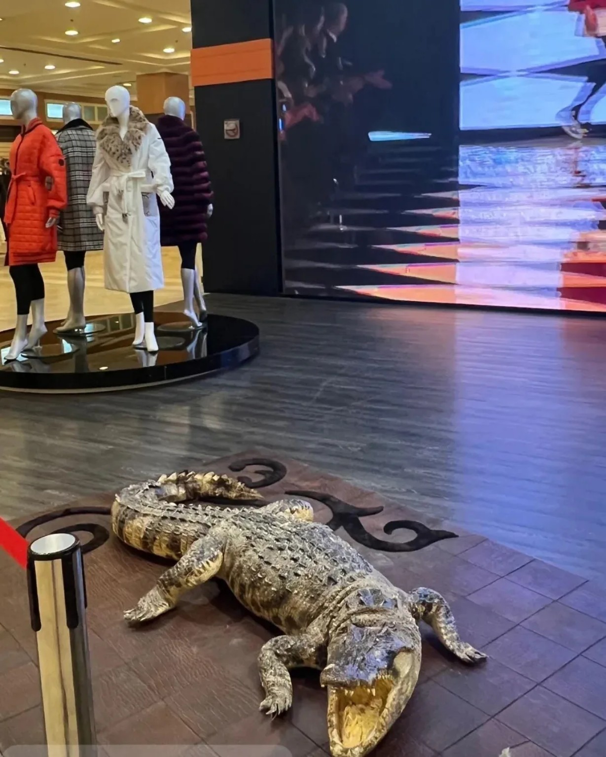 Antalya Fur exotic leather showroom